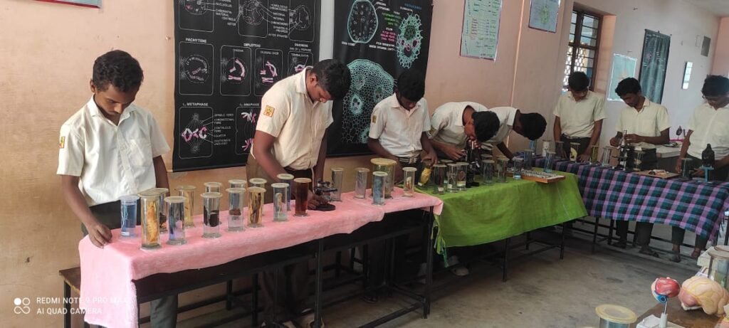 whatsapp image 2026 02 14 at 12.37.17 pm